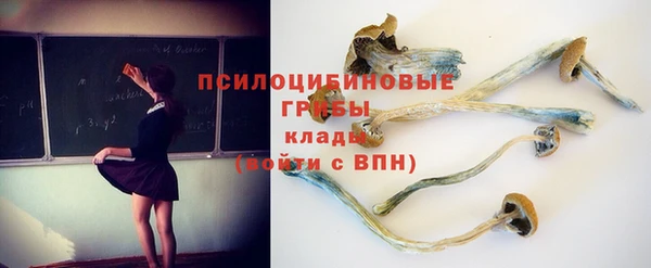 бошки Алзамай
