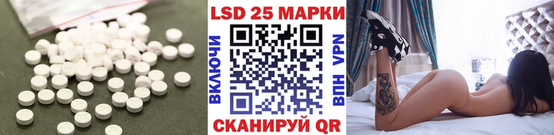 дарнет шоп  Лермонтов  ЛСД экстази кислота 